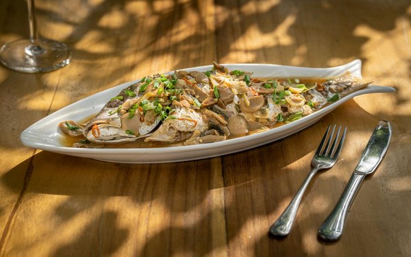 Upgrade Your Business Attire: The Essential Guide to Finding Flattering Empire Waist Dresses for Office Occasions